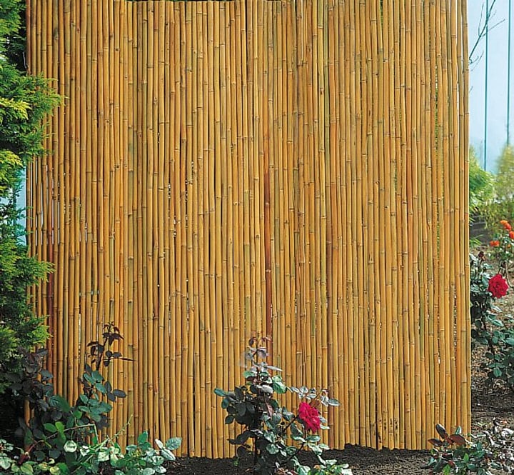 Image of Bambus Sichtschutzmatte bei Do it + Garden von Migros