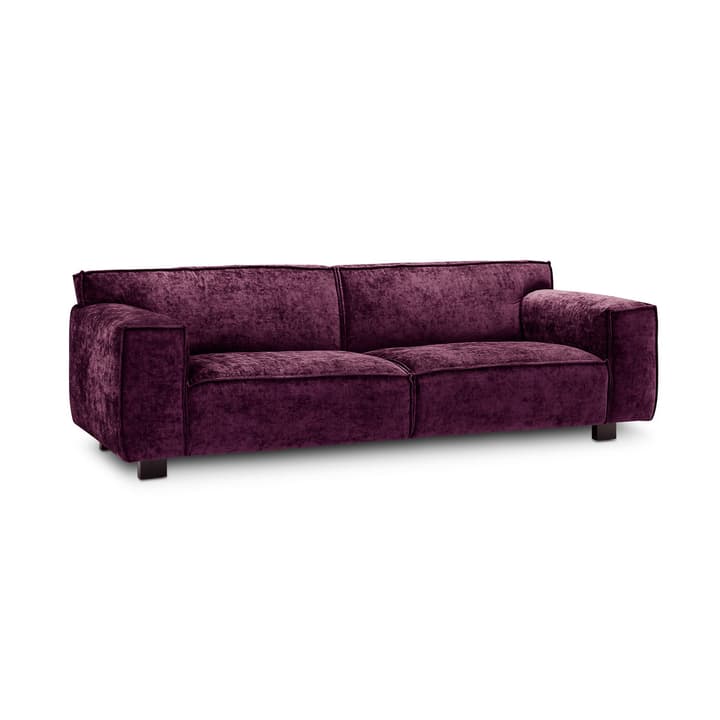 VESTA Eros canapé à 3 places VESTA Eros canapé à 3 places 360019820713 Dimensions L: 230.0 cm x P: 96.0 cm x H: 74.0 cm Couleur Violett Photo no. 1