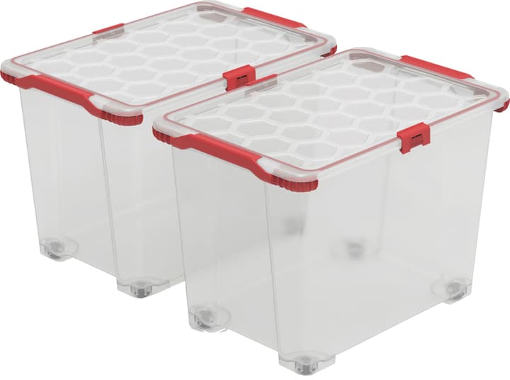 Image of Rotho Evo Total, 65L, 2er Set Aufbewahrungsbox