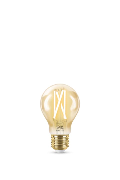 Image of WiZ TUNABLE WHITE A60 GOLD LED Lampe