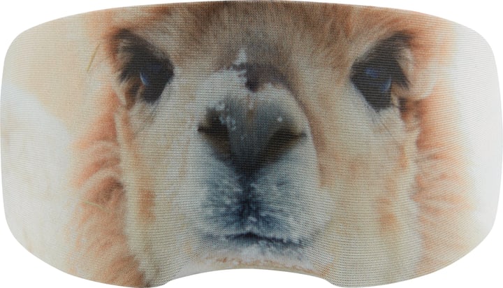 Image of Trevolution Goggle Protector Alpaka Goggle Protector bei Migros SportXX