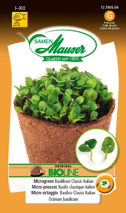 Image of Samen Mauser BIO-Microgreen Basilikum Classic Italian Microgreen