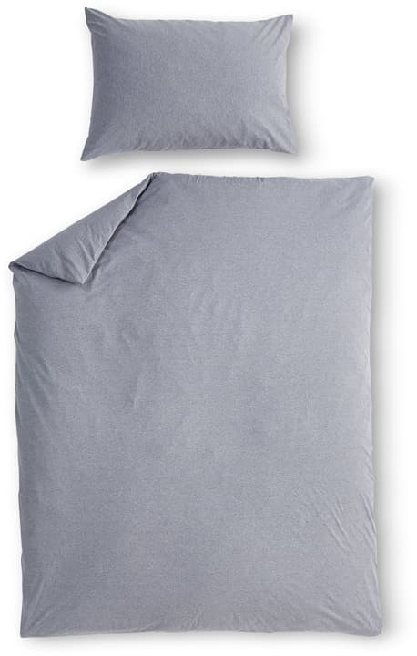 AMBROSIO Garnitura da letto jersey AMBROSIO Garnitura da letto jersey 451276014482 Colore Grigio Dimensioni L: 160.0 cm x A: 210.0 cm N. figura 1