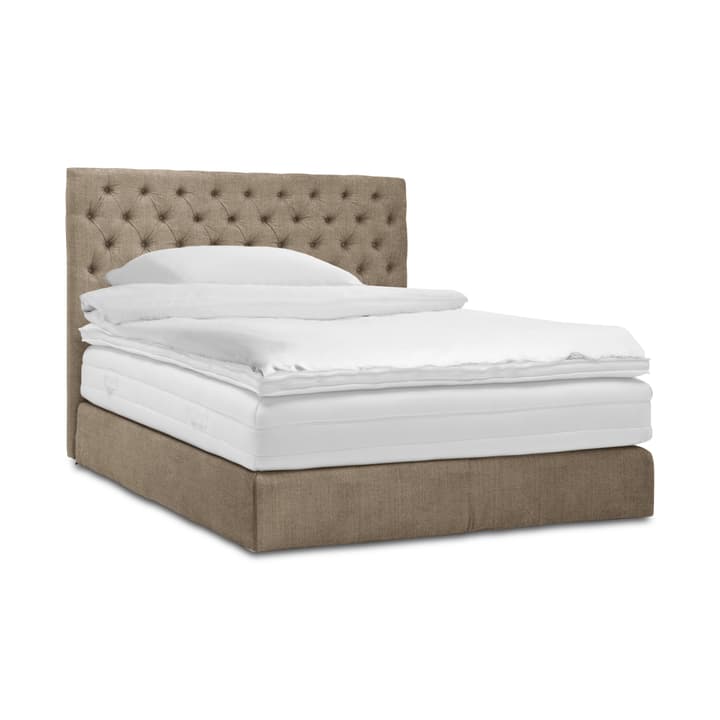GRACE Boxspringbett GRACE Boxspringbett 364292300000 Grösse B: 200.0 cm x T: 160.0 cm Farbe Taupe Bild Nr. 1
