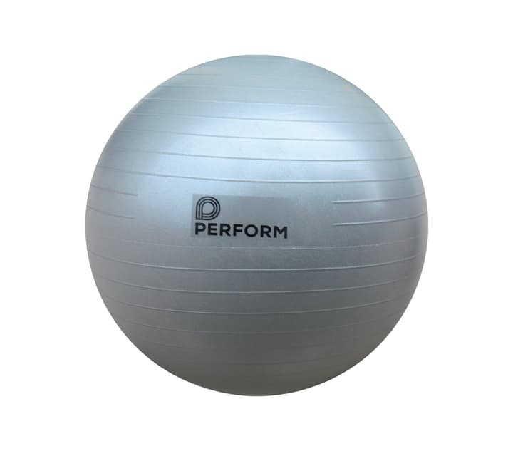 Image of Perform Gym-Ball ABS Ø 65 cm Gymnastikball bei Migros SportXX