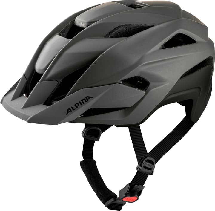 Image of Alpina Stan Mips Velohelm dunkelgrau