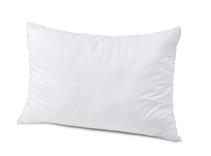 DOWN TOUCH medium Oreiller plat synthétique DOWN TOUCH medium Oreiller plat synthétique 451749610610 Couleur Blanc Dimensions L: 65.0 cm x P: 65.0 cm Photo no. 1
