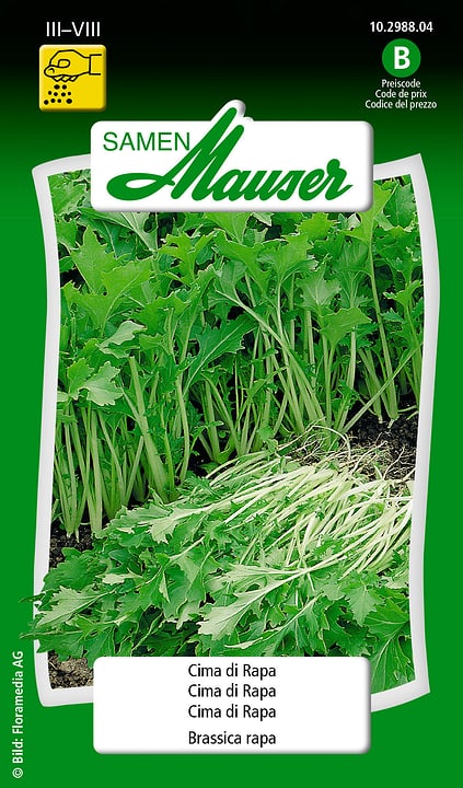 Image of Samen Mauser Cima di rapa Gemüsesamen