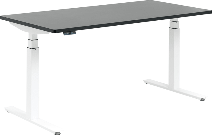 FLEXCUBE Bureau FLEXCUBE Bureau 401838400000 Dimensions L: 200.0 cm x P: 80.0 cm x H: 75.0 cm Couleur Noir Photo no. 1