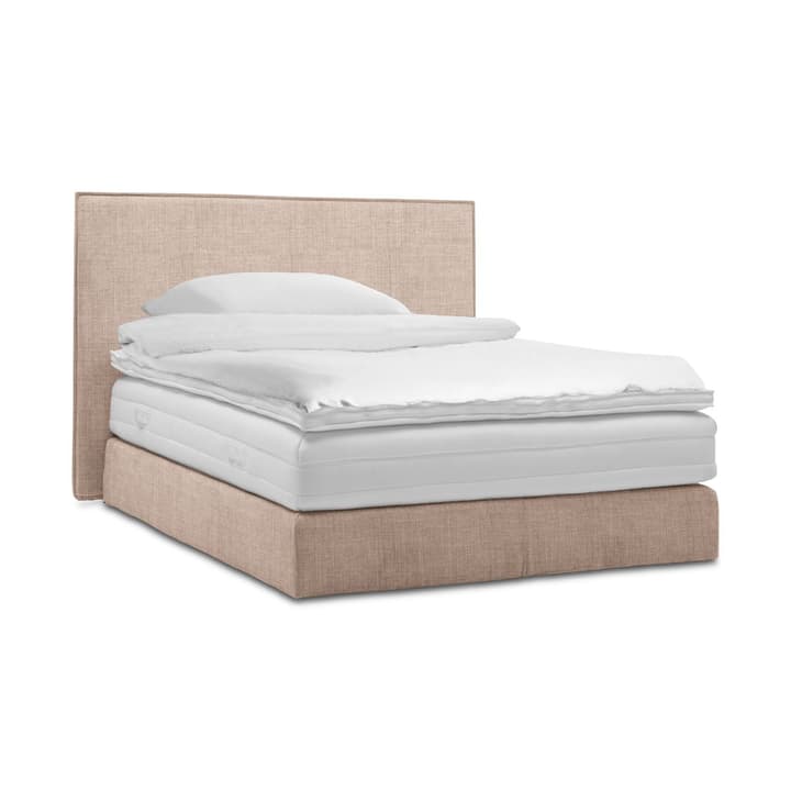 GRACE Boxspringbett GRACE Boxspringbett 364297200000 Grösse B: 200.0 cm x T: 160.0 cm Farbe Beige Bild Nr. 1