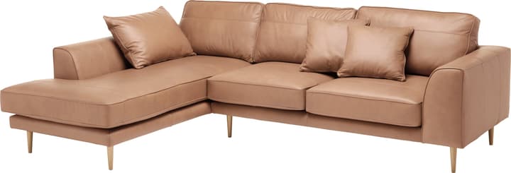 ADLER Canapé d'angle ADLER Canapé d'angle 405729650171 Couleur Marron clair Dimensions L: 295.0 cm x P: 202.0 cm x H: 90.0 cm Photo no. 1