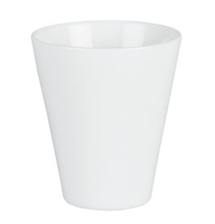 Image of Max-Porcelain Zahnbecher bei Do it + Garden von Migros