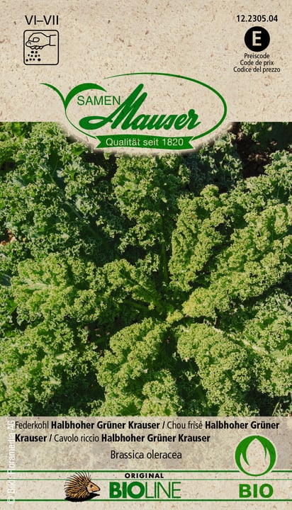 Image of Samen Mauser Knospe Bio Federkohl Halbhoher Grüner Krauser Gemüsesamen bei Do it + Garden von Migros