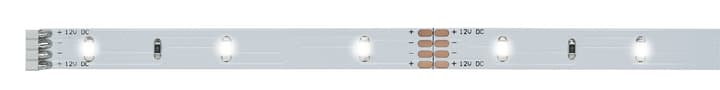 Paulmann YourLED Eco Stripe 1 m, lumière naturelle YourLED Eco Stripe 1 m, lumière naturelle Paulmann 615015800000 Photo no. 1