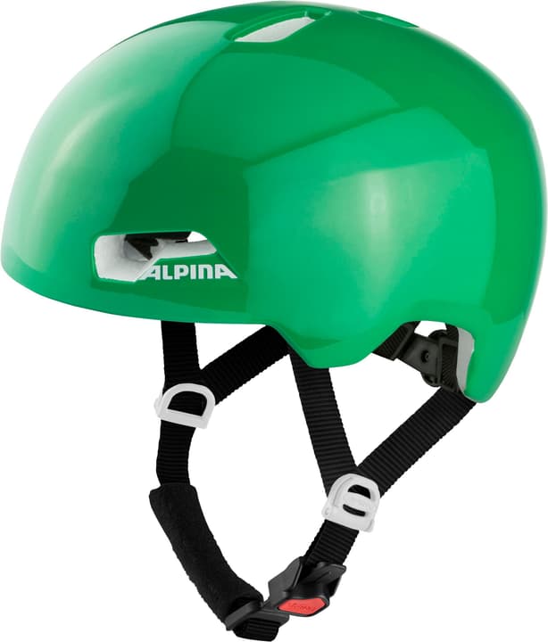 Image of Alpina Hackney Velohelm smaragd