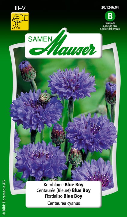Image of Samen Mauser Kornblume Blue Boy Blumensamen