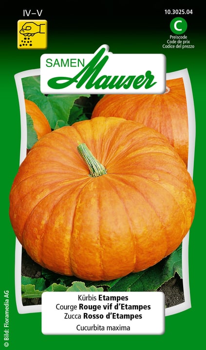 Image of Samen Mauser Kürbis Etampes Gemüsesamen bei Do it + Garden von Migros