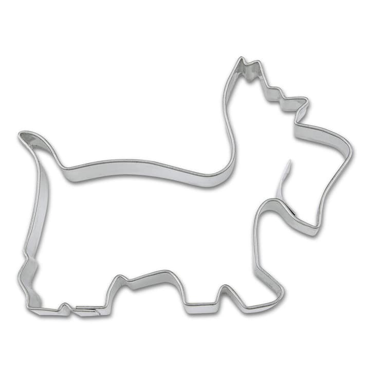 Image of Städter Westie 7,5 cm Ausstecher bei Do it + Garden von Migros