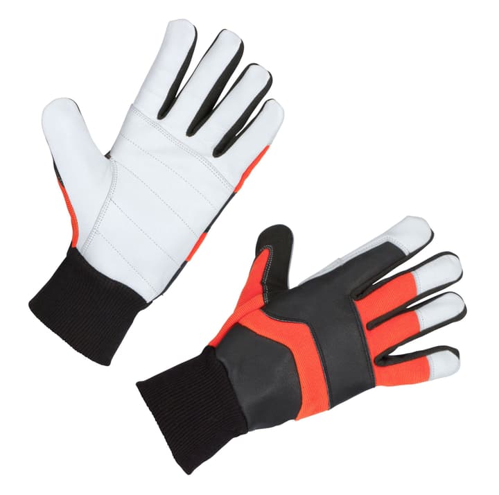 Image of Keron FORESTER Kettensägenhandschuh bei Do it + Garden von Migros