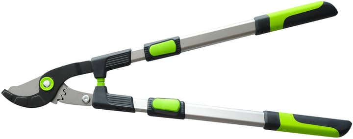 Image of Miogarden Premium Bypass-Teleskop- Astschere bei Do it + Garden von Migros