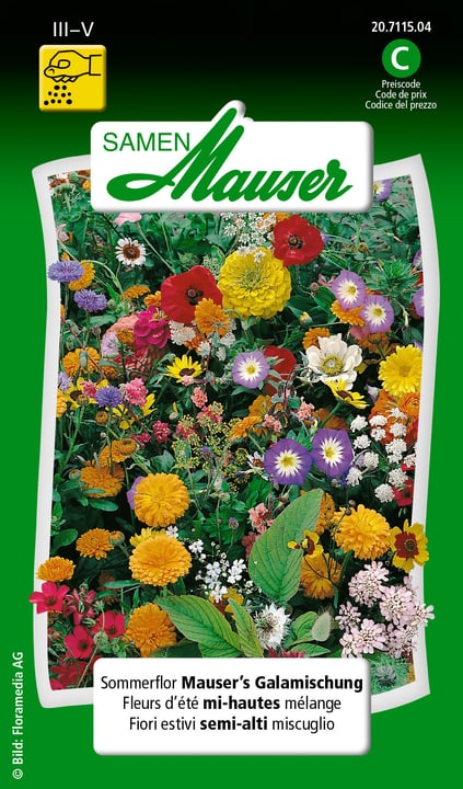 Image of Samen Mauser Sommerflor Mauser's Galamischung Blumensamen