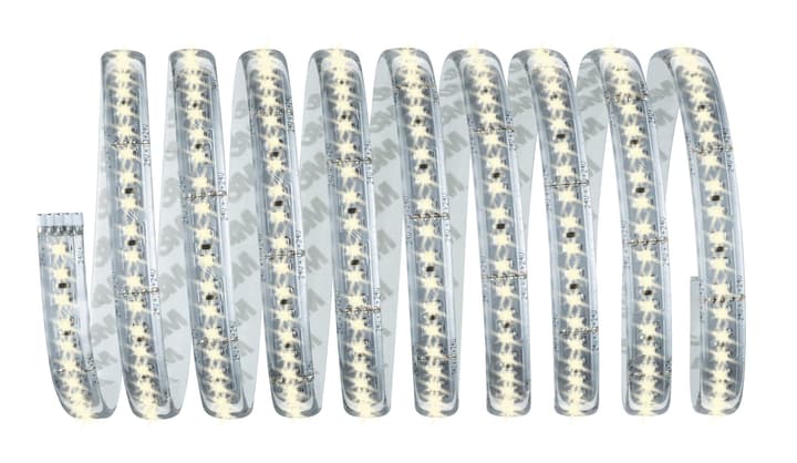 Image of Paulmann MaxLED 1000 Basisset 3 m, Warmweiss Light-Strip bei Do it + Garden von Migros