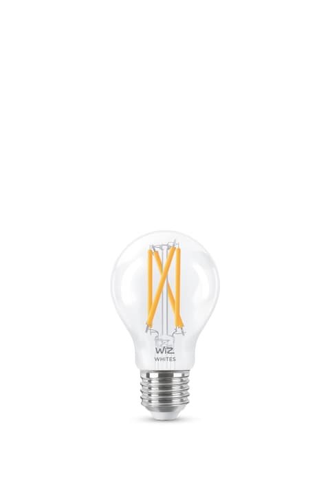 Image of WiZ TUNABLE WHITE A60 LED Lampe