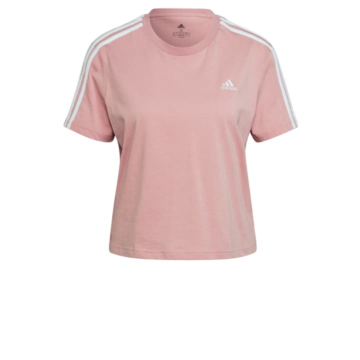 Image of Adidas Essentials Loose 3-Streifen Cropped Shirt rosa