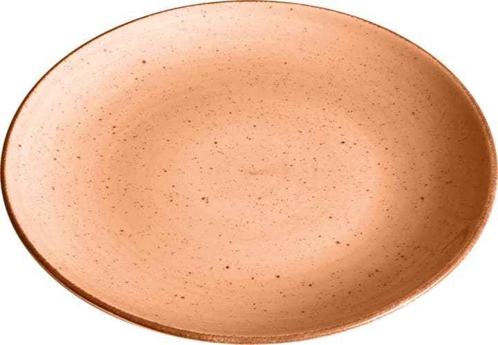 VINTAGE Assiette VINTAGE Assiette 440288802579 Couleur Terra Dimensions H: 2.7 cm Photo no. 1