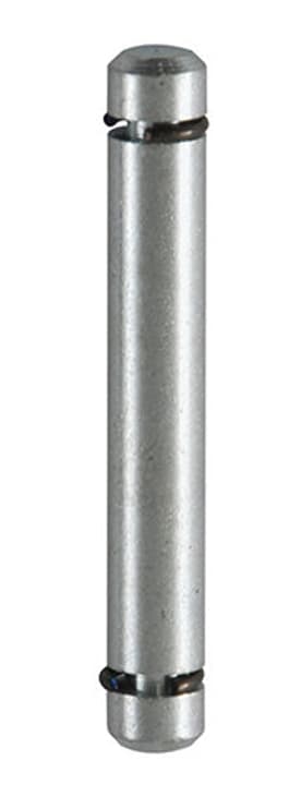 Image of Wagner System Steckstift 8 mm Achsen & Zubehör bei Do it + Garden von Migros