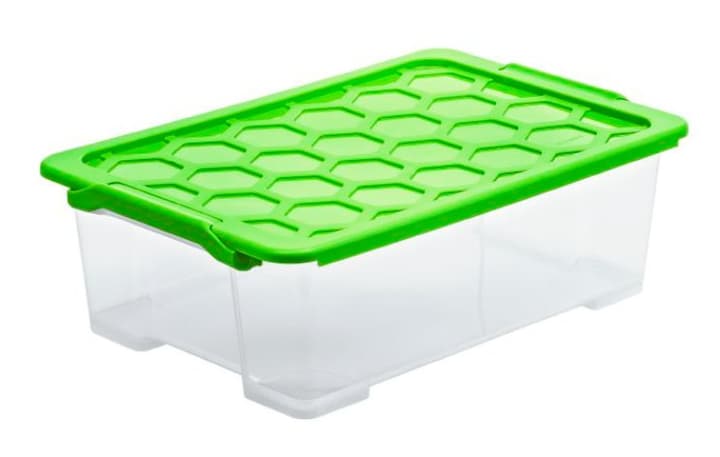 Image of Rotho Evo Safe Keeping 30 l mit Deckel Aufbewahrungsbox bei Do it + Garden von Migros