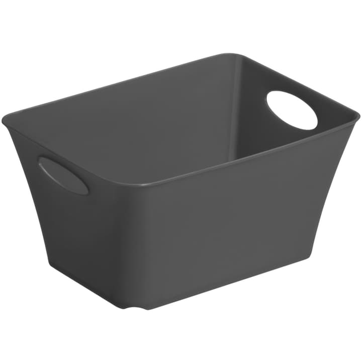 Image of Rotho Living Box 1.5 l Aufbewahrungsbox bei Do it + Garden von Migros