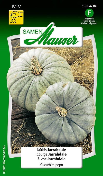 Image of Samen Mauser Kürbis Jarrahdale Gemüsesamen bei Do it + Garden von Migros