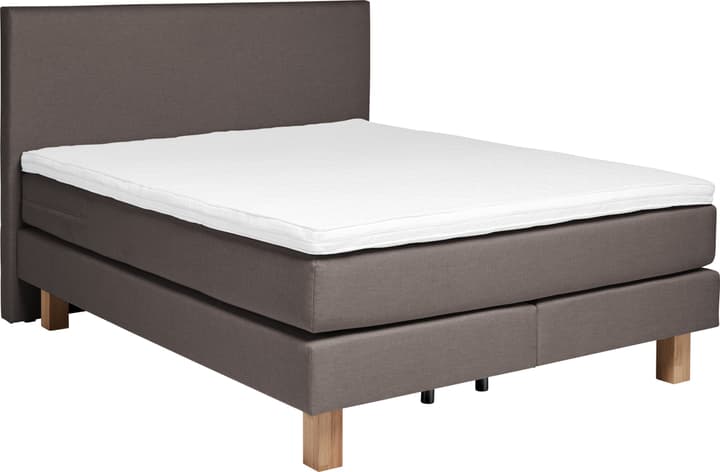 HASENA PRONTO Boxspringbett PRONTO Boxspringbett HASENA 403566300000 Grösse B: 140.0 cm x T: 200.0 cm Farbe Braun Bild Nr. 1