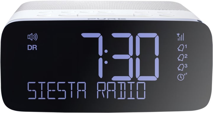 Pure Siesta Rise - Grau Radiowecker Siesta Rise - Grau Radiowecker Pure 785300124515 Bild Nr. 1