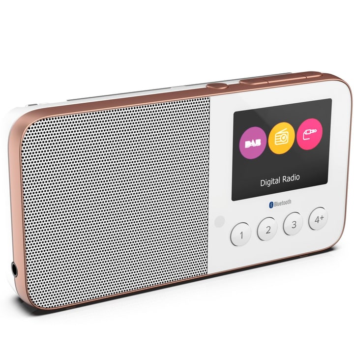 Pure Move T4 - Weiss Digitalradio DAB+ Move T4 - Weiss Digitalradio DAB+ Pure 785300134994 Bild Nr. 1