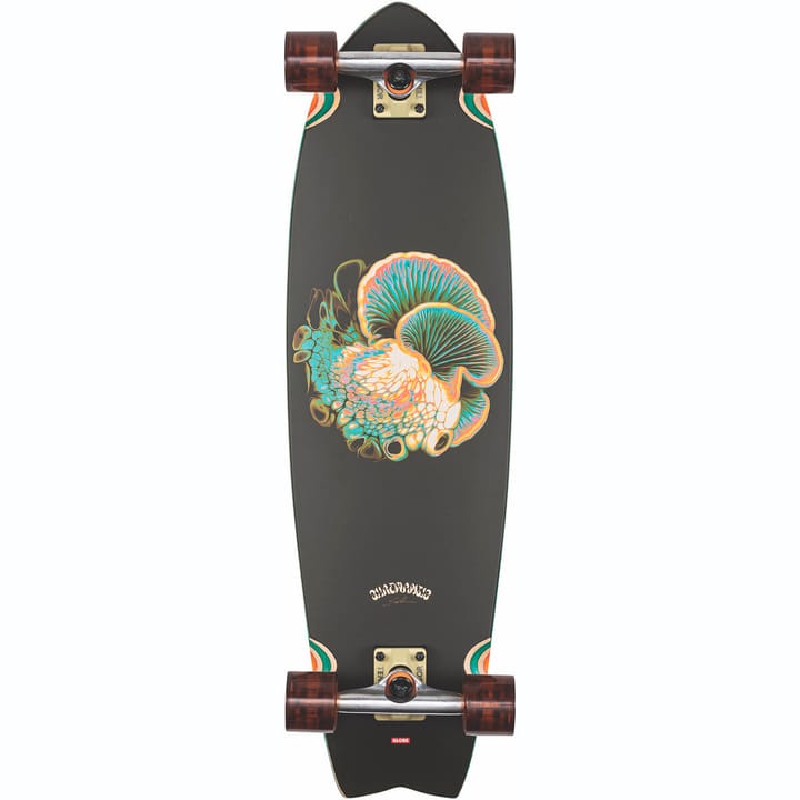 Image of Globe Chromantic Skateboard bei Migros SportXX