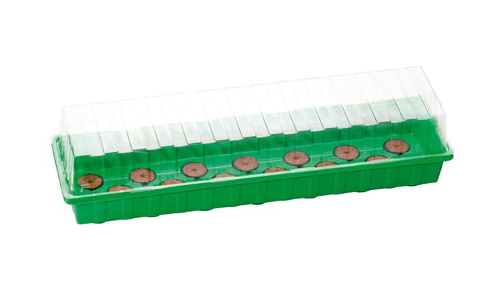 Image of Romberg Anzuchthaus L (54x15x12cm)