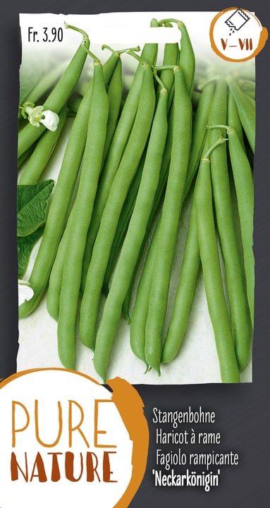 Image of Stangenbohne 'Neckarkönigin' 60g Gemüsesamen bei Do it + Garden von Migros