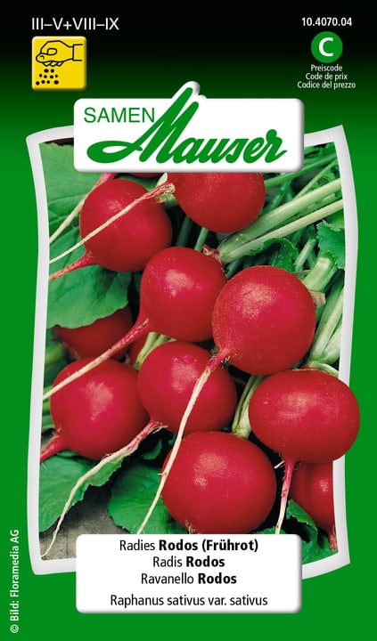 Image of Samen Mauser Radies Rodos (Frührot) Gemüsesamen