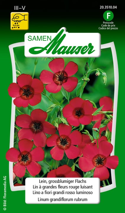 Image of Samen Mauser Lein, grossblumiger Flachs Blumensamen bei Do it + Garden von Migros