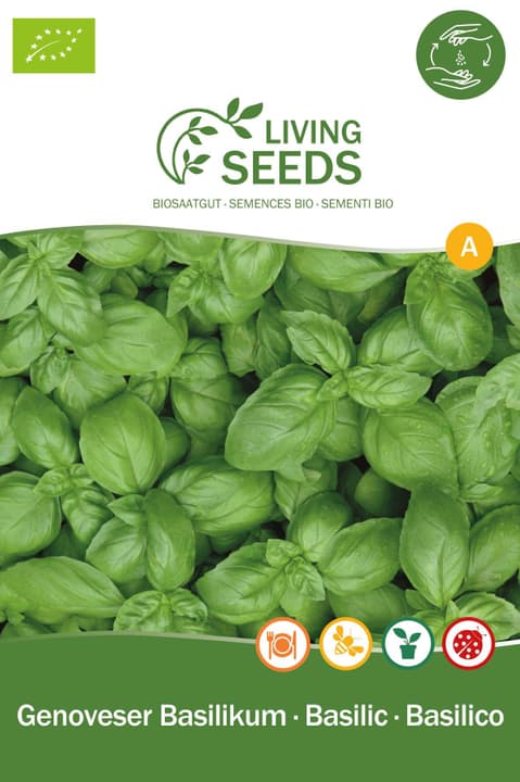 Image of Living Seeds Genoveser Basilikum Kräutersamen bei Do it + Garden von Migros