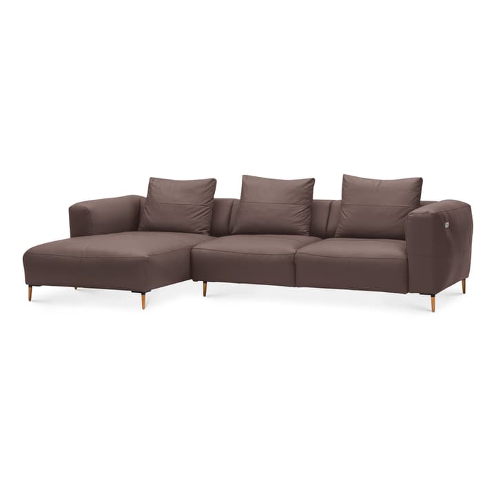 LOUIE Canapé d'angle LOUIE Canapé d'angle 360512773673 Dimensions L: 299.0 cm x P: 170.0 cm x H: 69.0 cm Couleur Brun foncé Photo no. 1