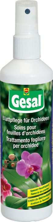 Image of Compo Gesal Blattpflege für Orchideen, 250 ml