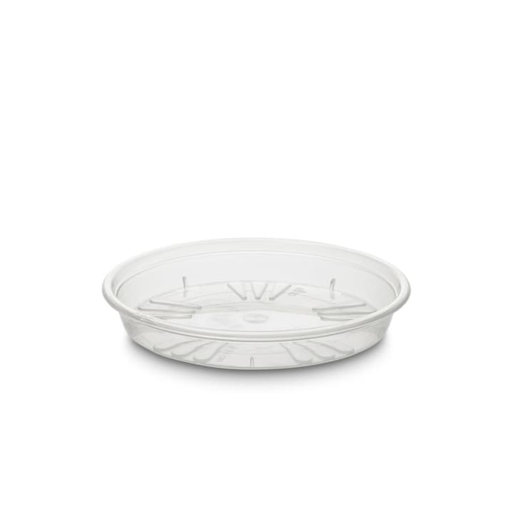 SAUCER Soucoupe SAUCER Soucoupe 382023300000 Dimensions L: 14.0 cm x P: 14.0 cm x H: 2.1 cm Couleur Transparent Photo no. 1