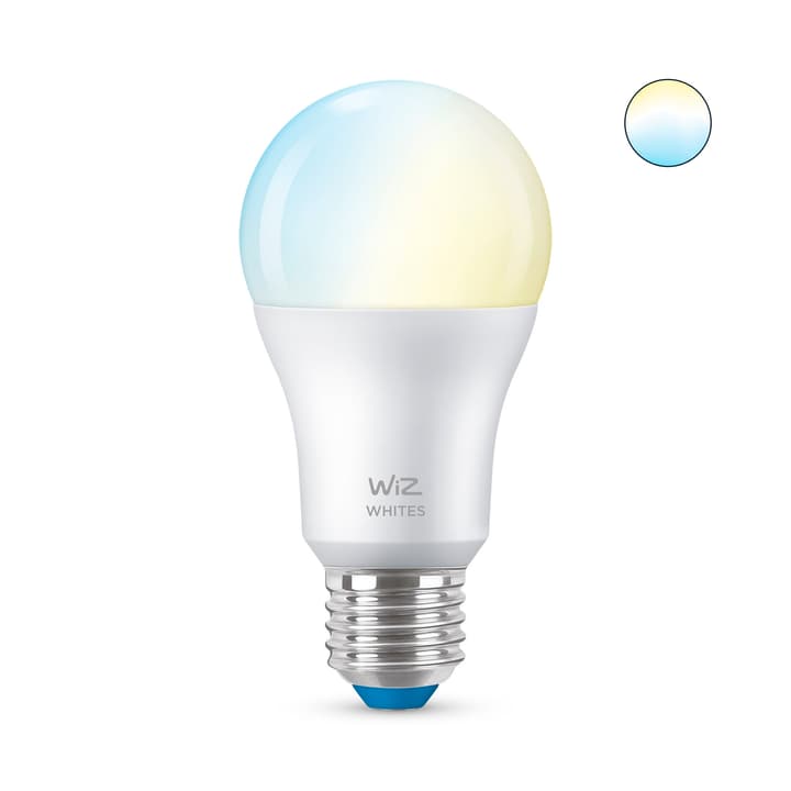 Image of WiZ TUNABLE WHITE A60 LED Lampe bei Do it + Garden von Migros