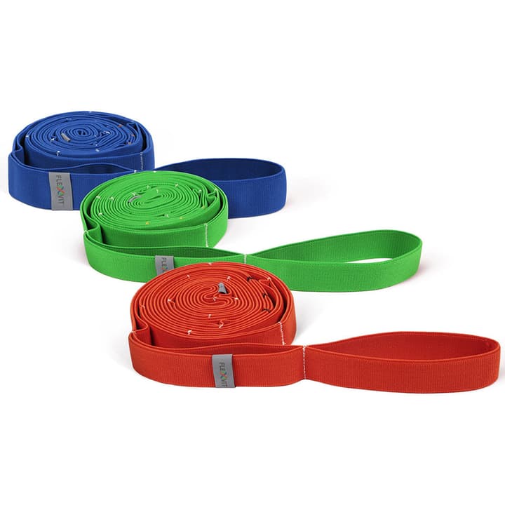 Image of Flexvit Multi Set Fitnessband