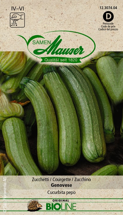 Image of Samen Mauser BIO Zucchetti Genovese Gemüsesamen