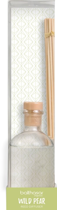 CLEAR Deodorante per ambienti CLEAR Deodorante per ambienti 440726600000 Dimensioni L: 5.3 cm x P: 5.3 cm x A: 23.5 cm Odore Pear N. figura 1