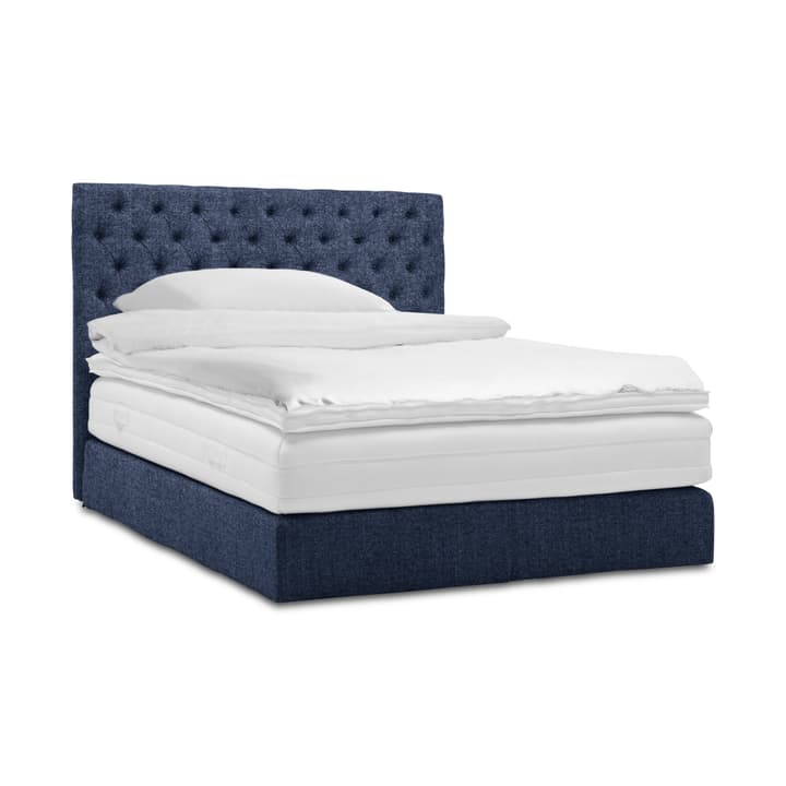 GRACE Boxspringbett GRACE Boxspringbett 364293200000 Grösse B: 200.0 cm x T: 160.0 cm Farbe Dunkelblau Bild Nr. 1